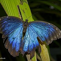 2015-07-26 12-07-09