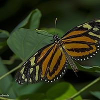 2015-07-26 12-17-03