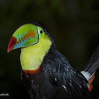 2015-07-26 13-55-33