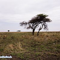 2015-09-05 11-06-27