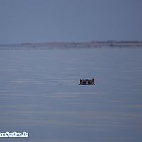 2015-08-25 17-21-43