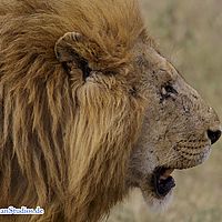 2015-09-05 16-10-06