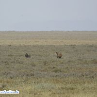 2015-09-06 13-57-03-4