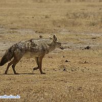 2015-09-07 11-05-46-2