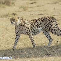 2015-09-10 08-17-09