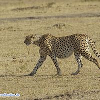2015-09-10 08-19-05