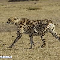 2015-09-10 08-19-13-2