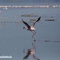 2015-09-11 15-01-06-9
