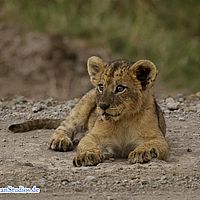 2015-09-11 18-07-01