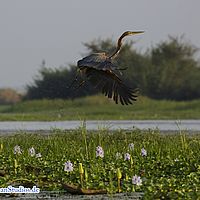 2015-08-25 16-32-04-4