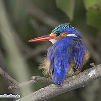 2015-09-16 17-03-28