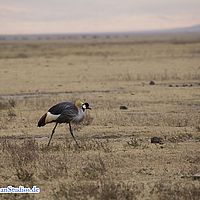2015-09-07 07-02-33
