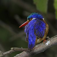 2015-09-16 17-09-27