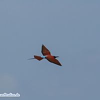 2015-09-19 10-46-11-3