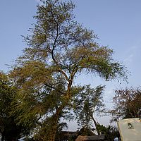 2015-08-26 16-52-07