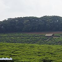 2015-08-27 10-09-23