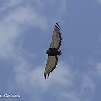 2015-09-10 13-35-55