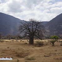 2015-08-28 10-55-47