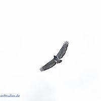 2015-09-15 15-10-10