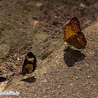2015-09-19 14-54-48