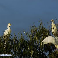 2015-09-20 07-09-10