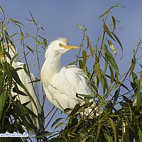 2015-09-20 07-17-46