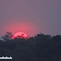 2015-08-22 17-41-23