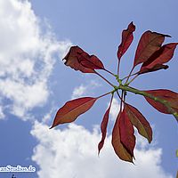 2015-09-11 14-18-20