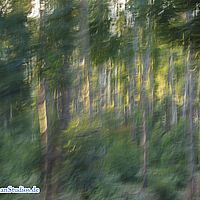 2015-09-12 06-43-56