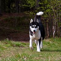 2011-06-01 09-39-13