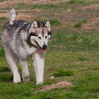 2011-06-03 19-00-49