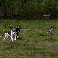 2011-06-04 12-17-41