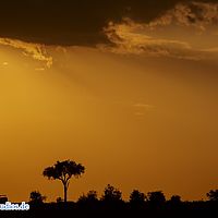 2015-09-09 18-12-22