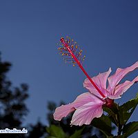 2015-09-18 17-31-10