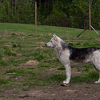 2011-06-03 18-52-19