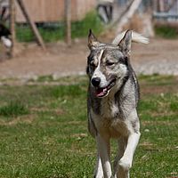 2011-06-04 12-57-36