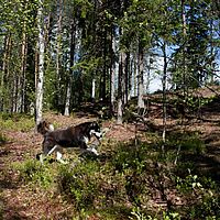 2011-06-04 13-40-55