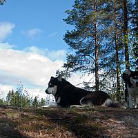 2011-06-04 13-49-30