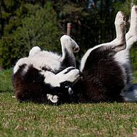 2011-06-04 14-07-15