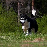 2011-06-04 14-09-25
