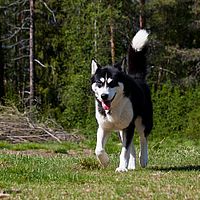2011-06-04 14-09-28