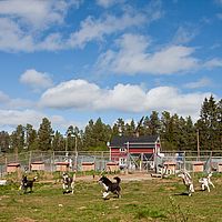 2011-06-04 14-31-28