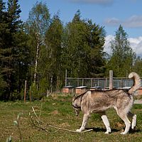 2011-06-04 14-38-22