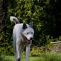 2011-06-04 16-17-38