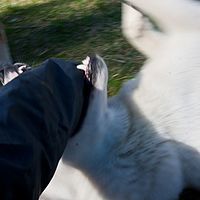 2011-06-04 16-22-25