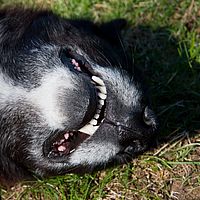 2011-06-04 16-24-13