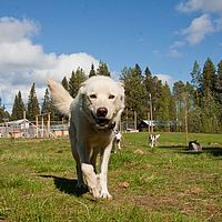 2011-06-04 16-38-07