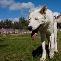 2011-06-04 16-38-21