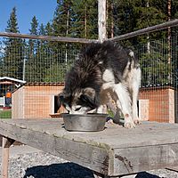 2011-06-04 17-36-40