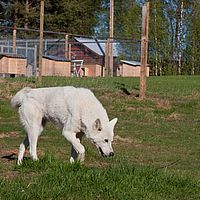 2011-06-04 18-12-20